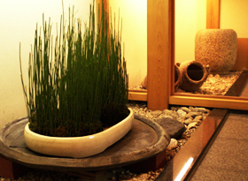 すし徳 灑落（さいらく）観葉植物
