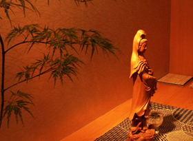 すし徳 灑落（さいらく）観葉植物