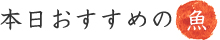本日おすすめの魚