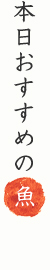 本日おすすめの魚